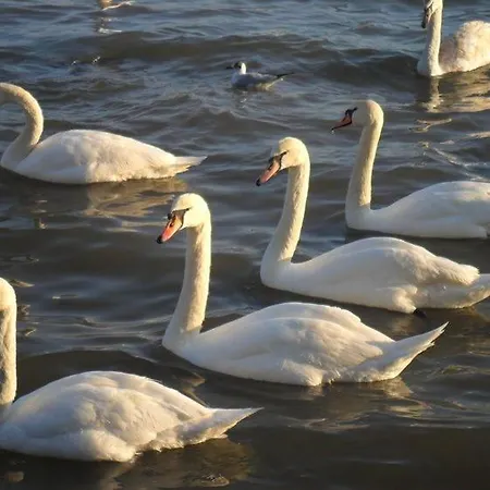 شقة My Place 1 فارنا